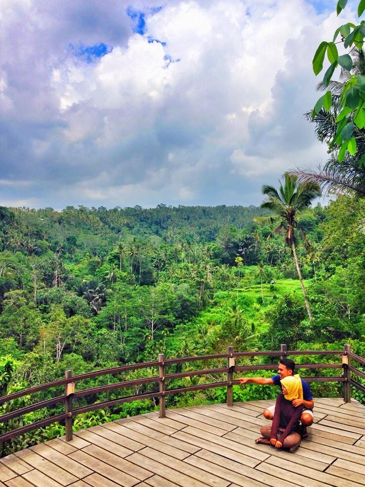 1794735_10206883132788311_2864827504910343684_n